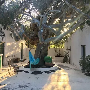 Patio Ii At Bed and breakfast
